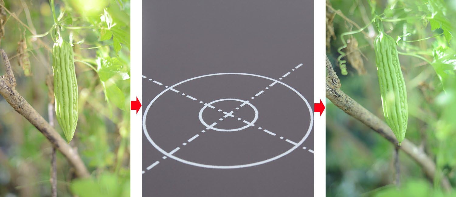 Lightdow 12 x 12 Inch (30 x 30 cm) White Balance 18% Gray Reference Reflector Grey Card with Carry Bag [Folded Version]